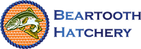 A bear 's hatchet logo is shown on the side of a green background.